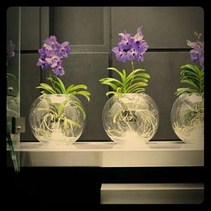 Bundle and save.  Buy 3 items save 15%